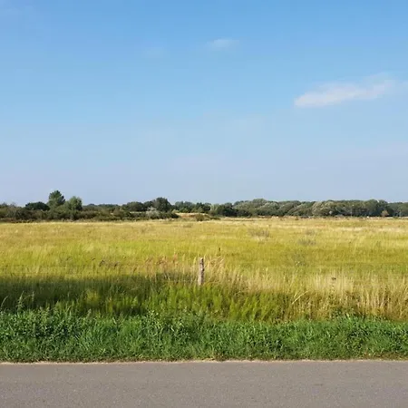 Bungalow In North Holland Near The Beach